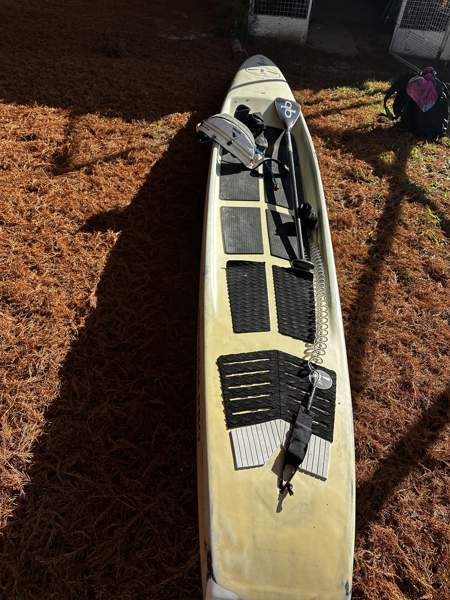 FlyingFish 22
